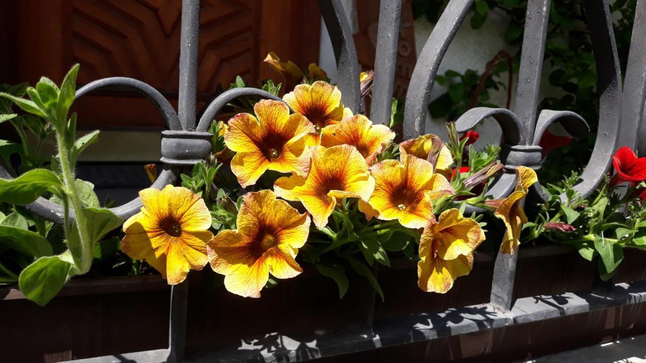 Haus Ruetzbach Lägenhet Neustift im Stubaital Exteriör bild
